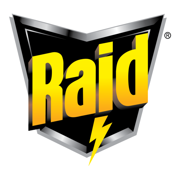 Raid